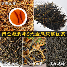 2026滇红茶组合蜜香金芽古树松针蜜香金丝滇红毛峰一叶金芽共500g