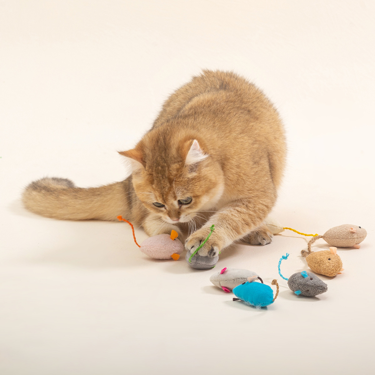 Plush Mouse Contains Catnip Suit Mouse Scratch-resistant Bite-resistant Molars Teasing Cat Interactive Factory Spot