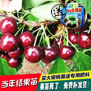 �޽ә��Ҙ���܇���Ә������ҹ������Ե����Ϸ������Nֲ����Y��