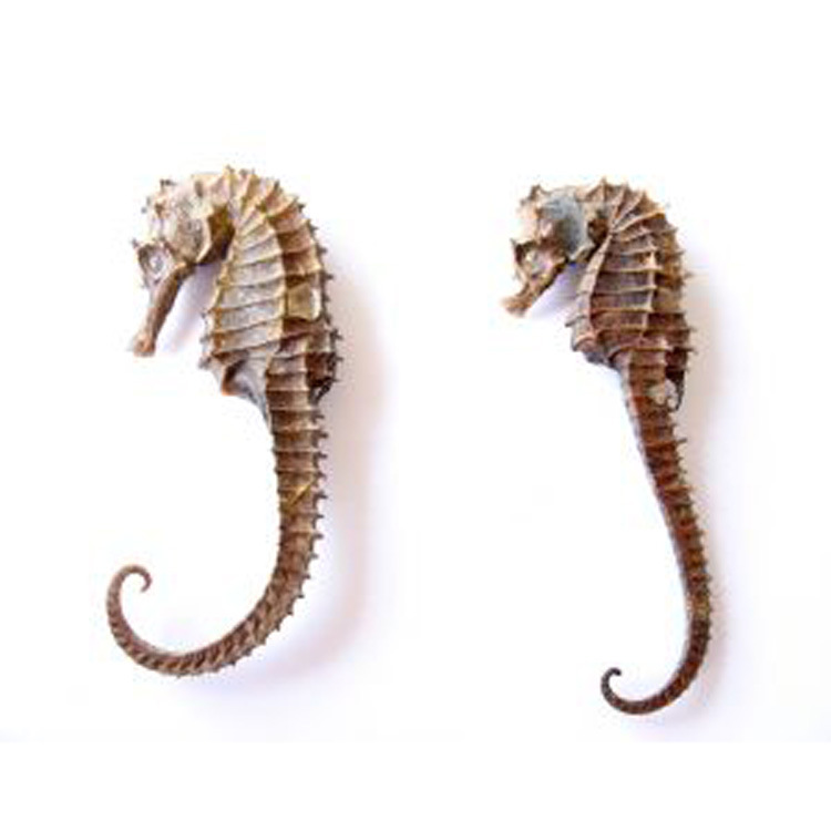 ֲ���㾫�������㾫���ݱ������㾫��ϴ��ˮ�㾫