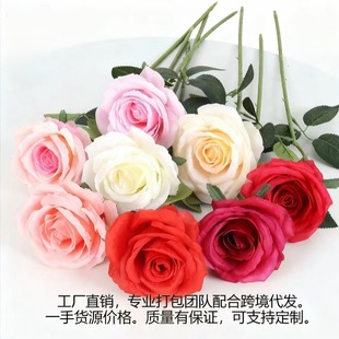 �羳��֧��������õ�廨�������õ��ӼҾƵ��c�b�Դ�^���l