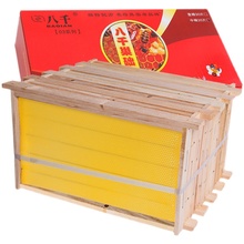 八千成品巢框蜜蜂巢础带框巢脾中蜂蜂巢杉木蜂箱专用全套养蜂工具