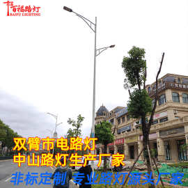 定制市政路灯厂家 双臂景观路灯 8米10米市政工程道路灯市电路灯