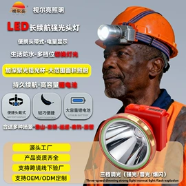 头灯头戴电筒;提灯;手电筒