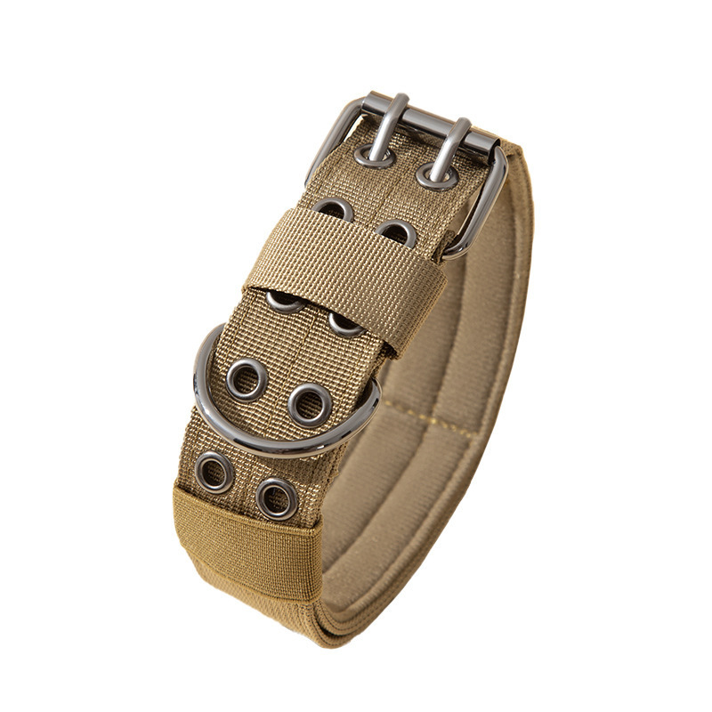 Collar especial de pelo dorado, collar de perros, collar de perros, collar de perros, collar de perros de tamaño medio y gran, collar de seguridad a prueba de explosiones