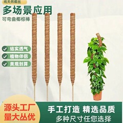 クロスボーダーDIYスタイルの藤登りブラケットは、定形緑ロリ亀背竹用園芸支柱変形ココナッツブラウン棒を曲げることができます。