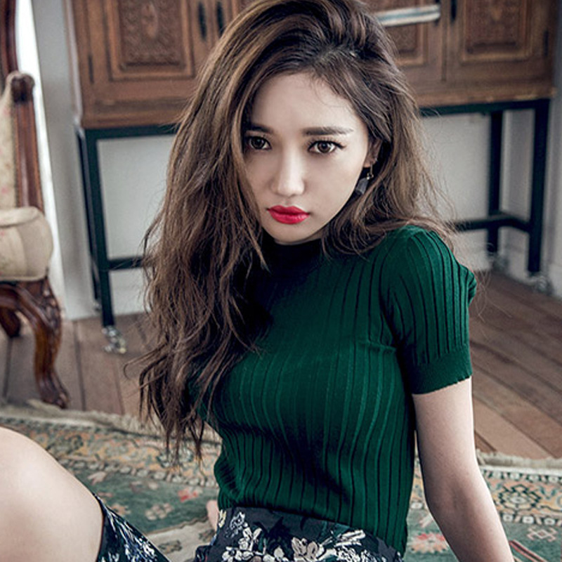 Spring New Half-high Collar Slim-fit Short-sleeved Sweater Women's Thin Tight Base Pullover Sweater