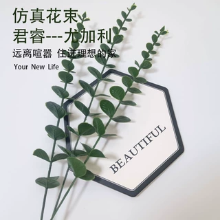 仿真植物独支尤加利金钱叶搭配装饰圣诞节花束婚礼场景橱窗商铺