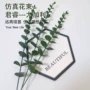 仿真商铺圣诞节婚礼尤加利