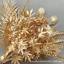 ��ɫϵ���滨����t���Ӱlؔ����������ɫ�ȼ��������}�Q�������