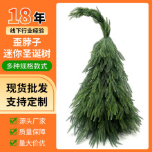 }QɘᲱ}Q2025¿}QСbᘘ