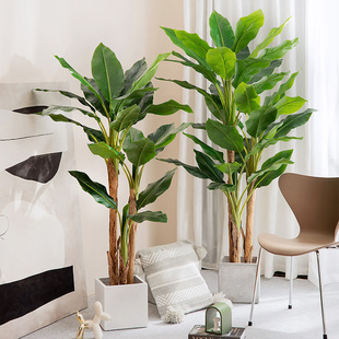 ����ֲ������پGֲ���l���������B���˽��Ž����҃��b��辰���l