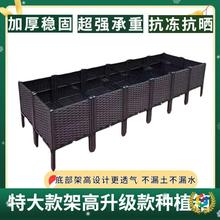 Ø߲˸_ϷN̨Nֲܸ߷NͥԺ