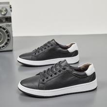 ҕl ¿^ţƤ+zСЬreЬƤЬ