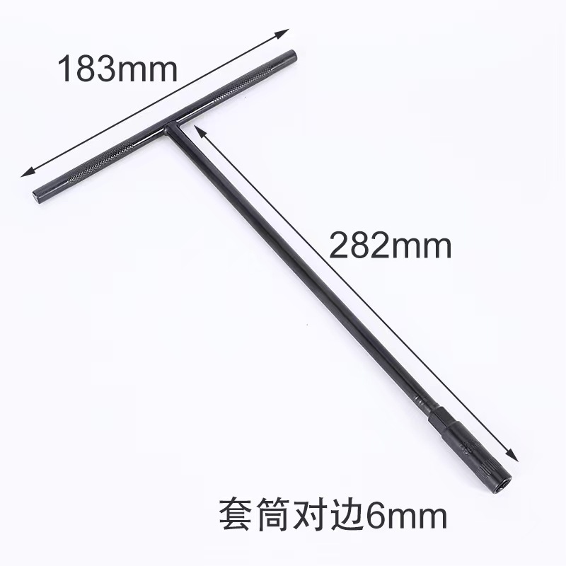 6(전기영동 T형)