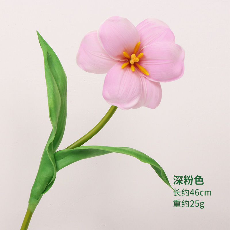 캔디파우더 35cm