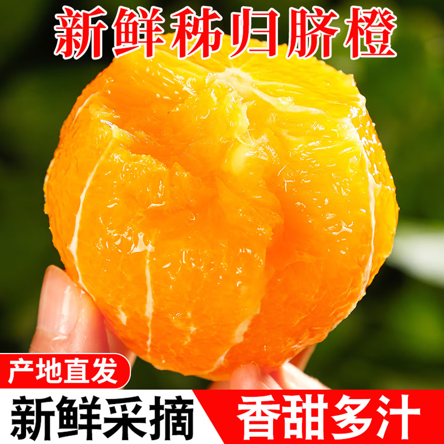 湖北秭归脐橙源头产区皇嘉果业官方采购全年新鲜水果批发当季橙子