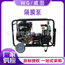 FSTGP-50/2.0�߉��ߓP�̜����L���ě_�̳�ˮ��ɭ������ˮ��