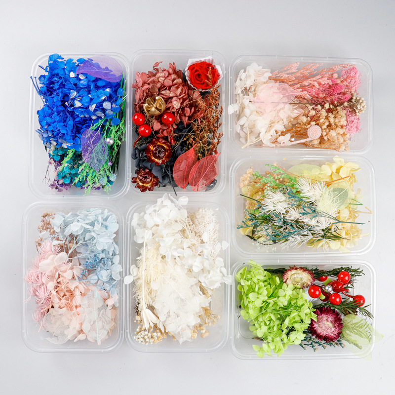 DIY Mixed Dry Flower Box Preserved Flower Material Pack Mixed Handmade Dry Flower Pack Natural Dried Real Flower Ins Style Decor