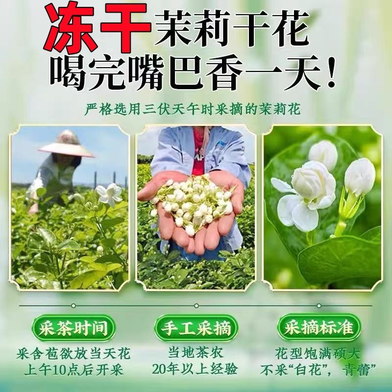 FD冻干茉莉花果茶茉莉干花头茬新货 现货批发厂家直供 团购直播|undefined