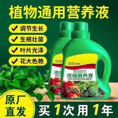 栄養液共通型植物濃縮花肥料養花家庭用花卉鉢植え花草土水培花肥料