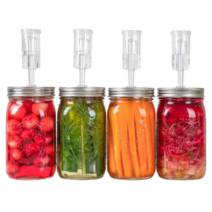 Fermentation Kit for ordinary Mouth mason jar Fermentation Kit Regular Mouth