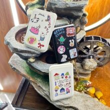 ins��ɰ�ӡ��ͼ������iPhone16Pro��������MagsafeƤ�ʿ���֧��