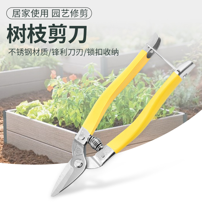 新款不锈钢摘果剪三角罗定果剪疏果剪橘子剪橙子剪柚子剪枝条