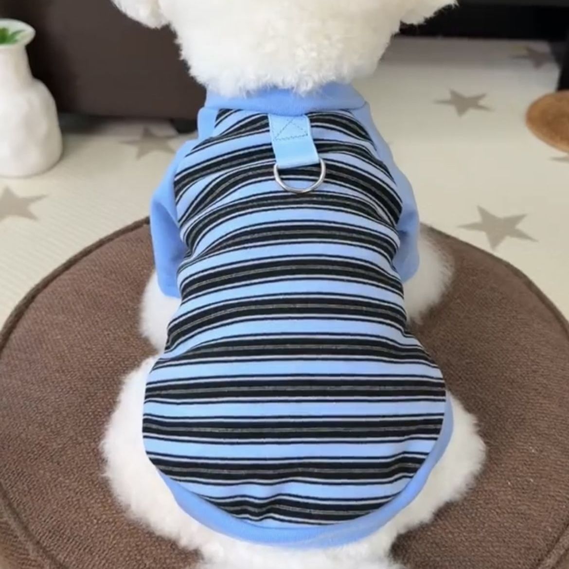 Gatos otoño invierno ropa accesorios rayas mascotas perros pequeños peleas de peluche que osos suministros de camiseta de base universal transfronterizos