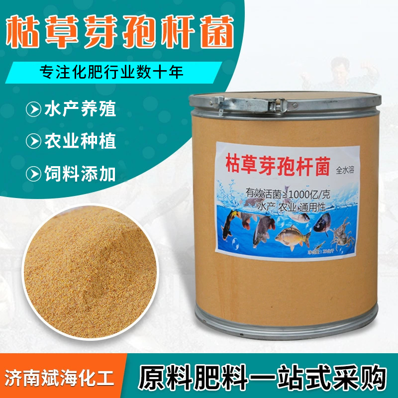 农用枯草芽孢杆菌 水产养殖微生物菌剂枯草芽孢杆菌