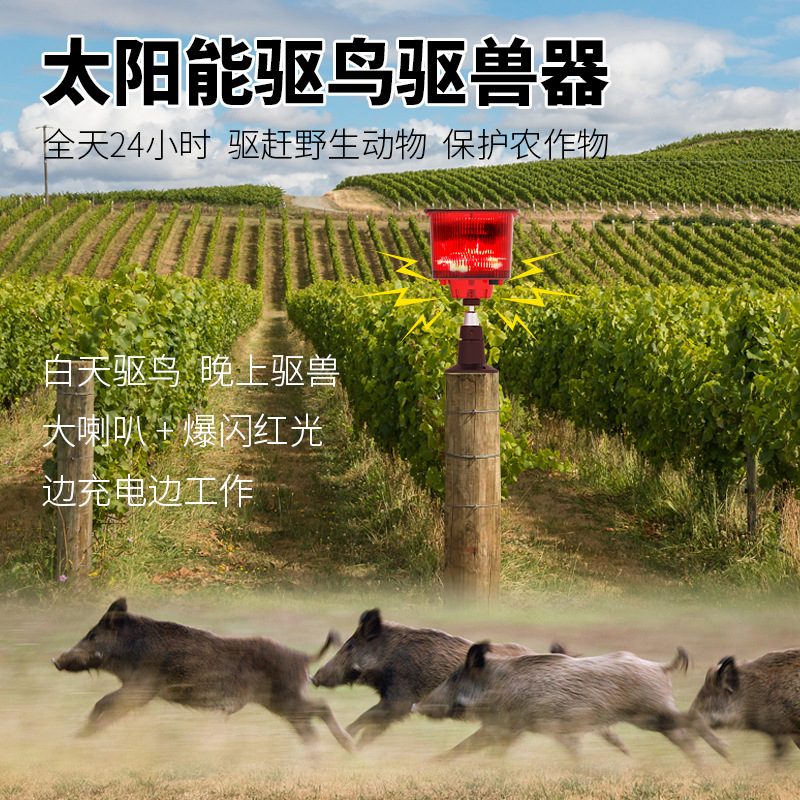 Bird-Scaring Gadget Solar 13 Languages Timer Sound and Light Alarm Bird and Animal Deterrent with Recording Function