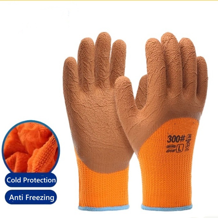 IMG_1228(20231213-020225)