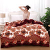 Flannel double-sided keep warm coral duvet cover, increased thickness