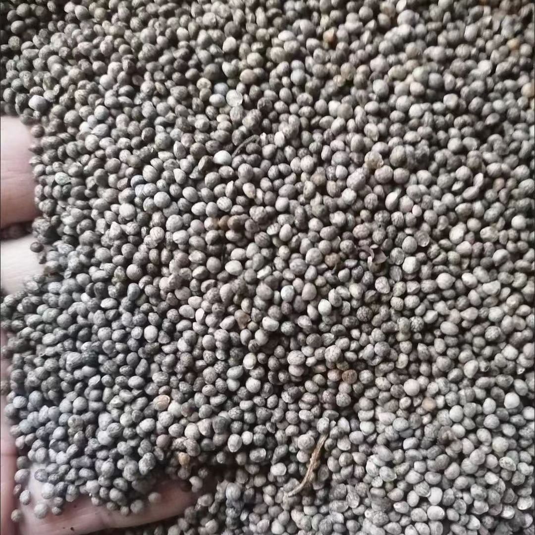 微信图片_202306211124231