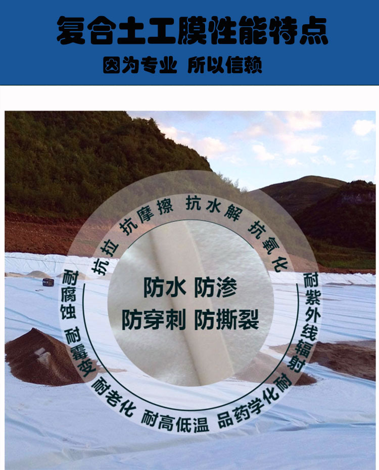 复合土工膜厂家