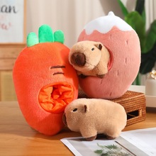 ��Ƥ����������żë�q�����ˮ����Ů���W�t���ȿɐ����޶YƷ