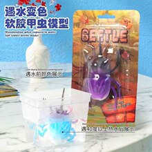 新款跨境温变软胶甲虫温水变色动物昆虫模型玩具学生儿童玩具批发