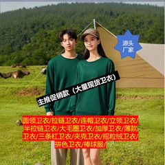 卫衣定制薄款毛圈圆领纯色团体服拉链活动服班服现货批发印logo洲