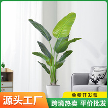 �羳�������Gֲ�����ָ����˽�120cm����҃ȸ߶˷���ֲ�����l