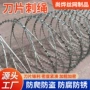 带刺防护刀片爬网刺绳