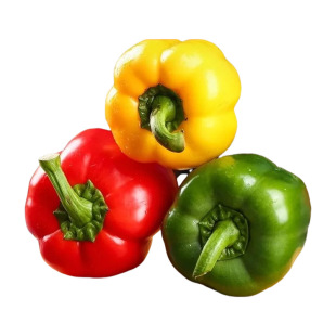 ɽ�|���r����𽷈A�������������\�����Բ���ˮ����һ�����l