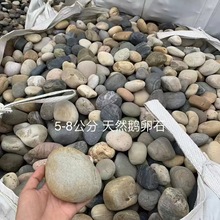5-8公分变压器鹅暖石水沙石处理河卵石滤料石子厂家人工挑选