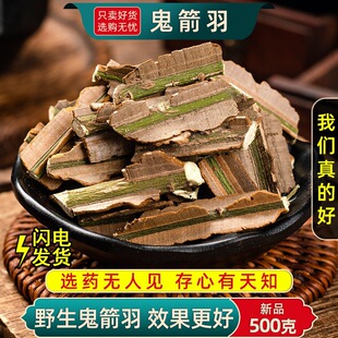 ������ ��Ȼ����؛ ��ș�� ��Ҋ���lì �������Ҋ��500�� ��Ҋ��
