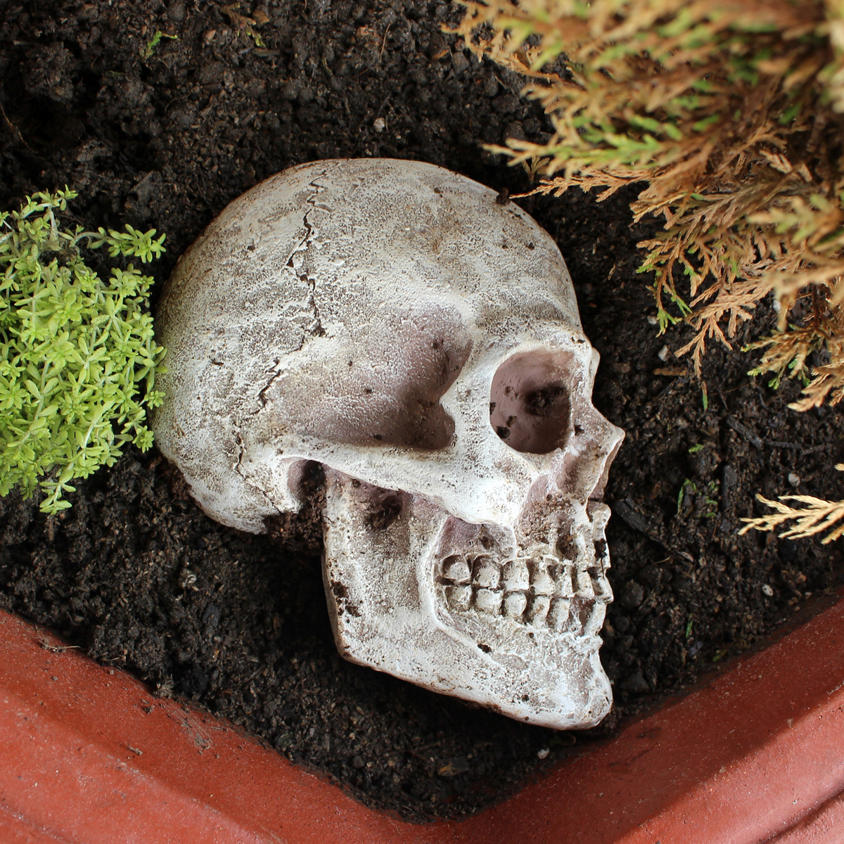 Creative Halloween Cartoon Skull Character Ornaments Home Resin Crafts  Ghost Festival Decoration Gift 