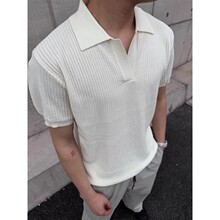 ��ɫᘿ�����polo����ʿ�ļ��p���L�l�yv�It��cleanfit����������