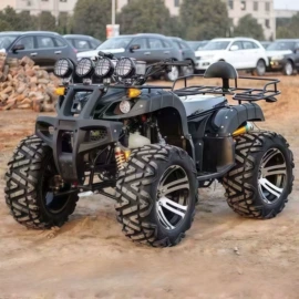 沙滩车;其他摩托车;其他电动车