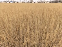 �½�������� �Ԯa���N5000�f��������һ�����������