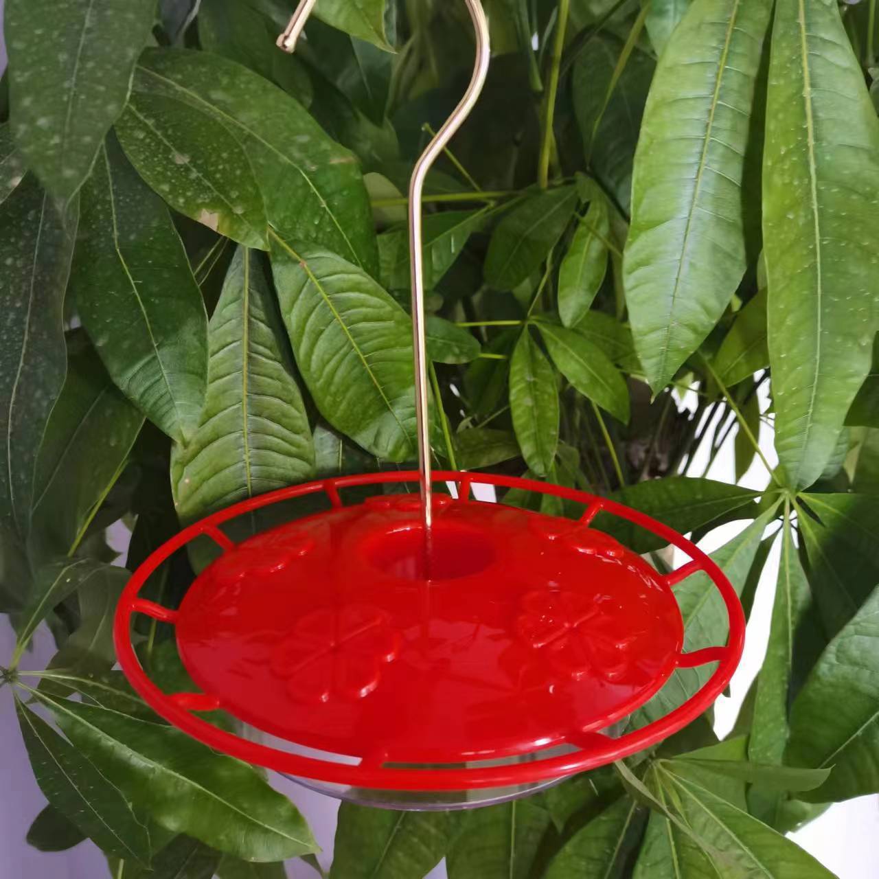 O1CN013F1nNC1XA0KQ8uR6G_!!2215