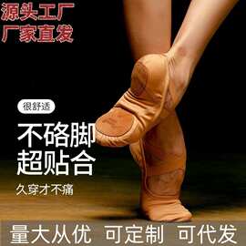 弹力布舞蹈鞋女成人弹力布软底舞鞋古典芭蕾舞儿童猫爪驼色练功鞋
