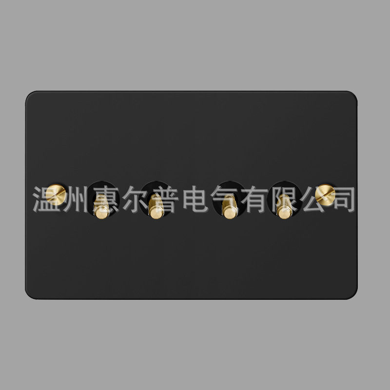 Mounted black retro switch key, light panel stainless steel